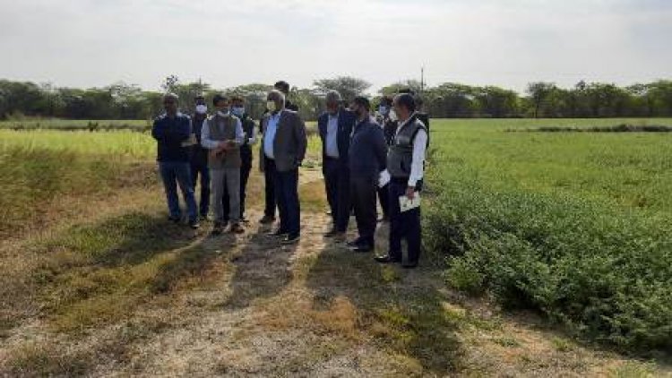 कुलपति ने किया कृषि विज्ञान केंद्र शिवपुरी का भ्रमण