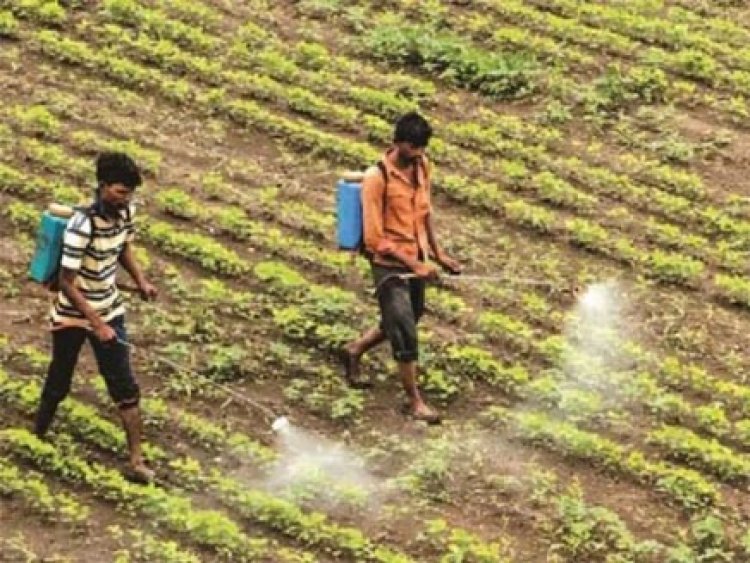 किसानों को नकली बीजों, कीटनाशकों और उर्वरकों की धोखाधड़ी को रोकने लागू नियम और अधिनियम